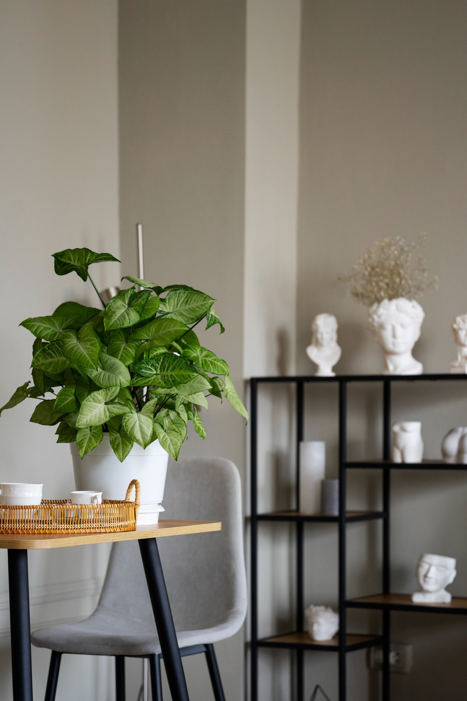 Home Decor