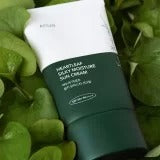 Anua Heartleaf Silky Moisture Sun Cream SPF 50+ PA+++ 50 ML